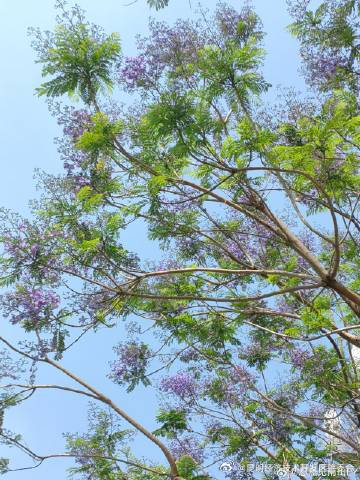 昆明经济技术开发区管委会