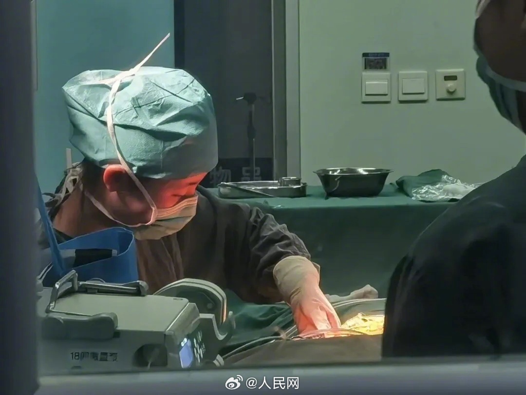 双胞胎姐妹相逢在北大_http://www.mainten.cn_ycb_第3张