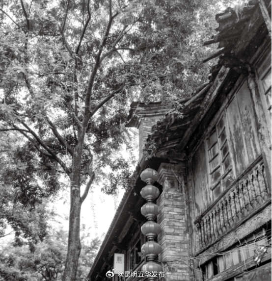 款款昆明老街 | 杨兴周与大安堂云南总号