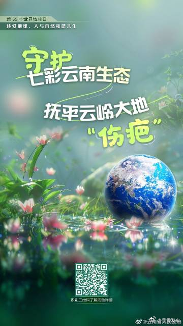 守护七彩云南生态 抚平云岭大地‘伤疤’”