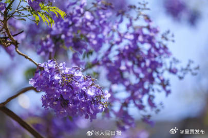 呈贡发布