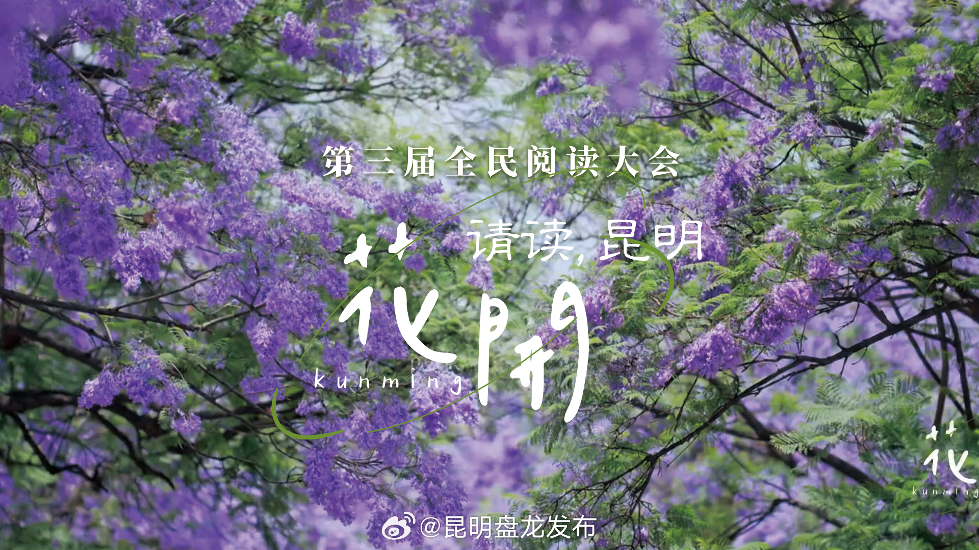 《请读，昆明》——《花开篇》