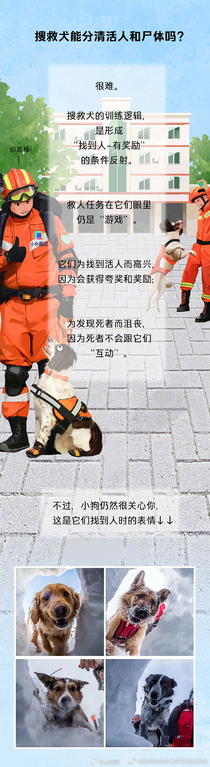 搜救犬的职责不只有震后搜救，还有水上救援、雪上搜救......_http://www.mainten.cn_ycb_第9张