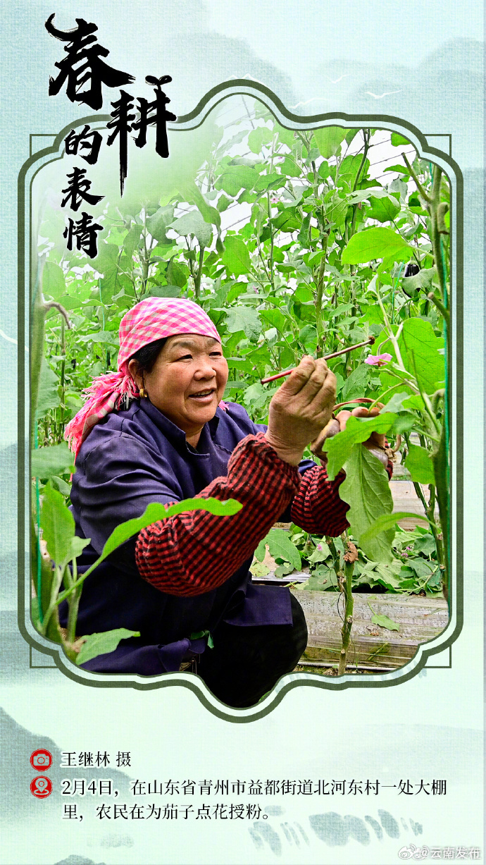 云南发布