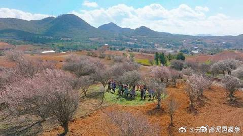 春天去哪儿玩？云南3条乡村休闲旅游线路获全国推介