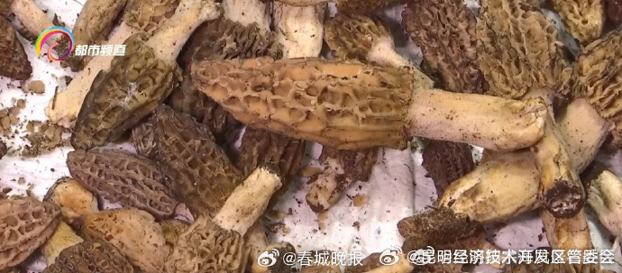 昆明经济技术开发区管委会