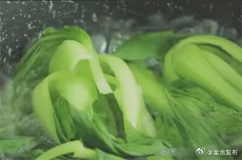 深色蔬菜比浅色的更营养