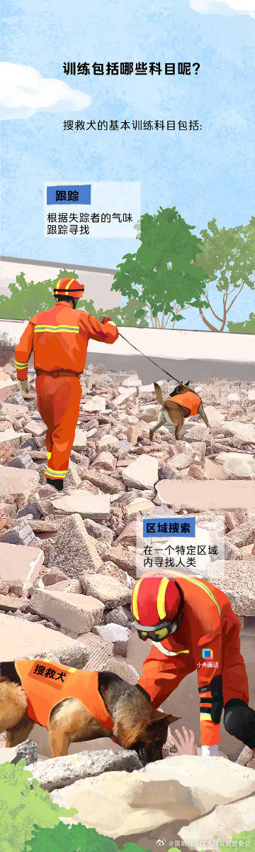搜救犬的职责不只有震后搜救，还有水上救援、雪上搜救......_http://www.mainten.cn_ycb_第6张