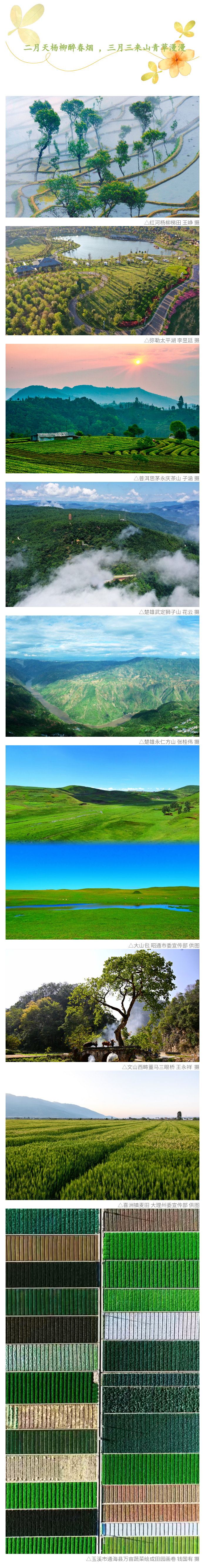 云南省文化和旅游厅