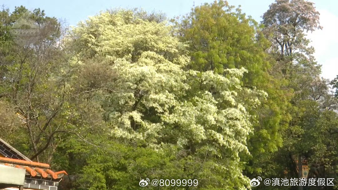 滇池旅游度假区