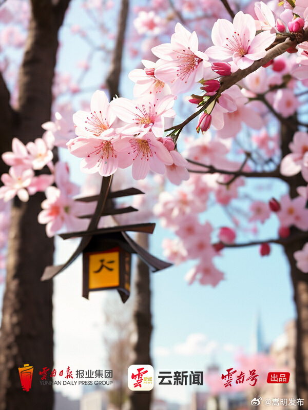 云新闻AI画报丨春❀暖❀花❀开❀彩❀云❀南