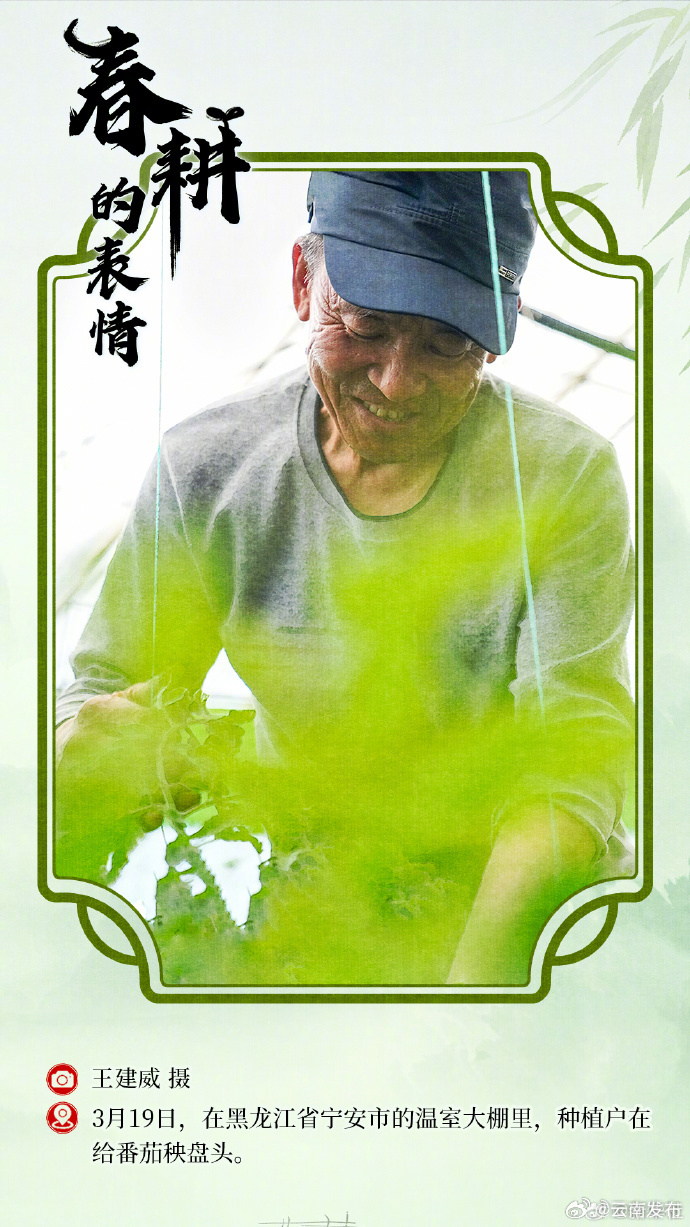 云南发布