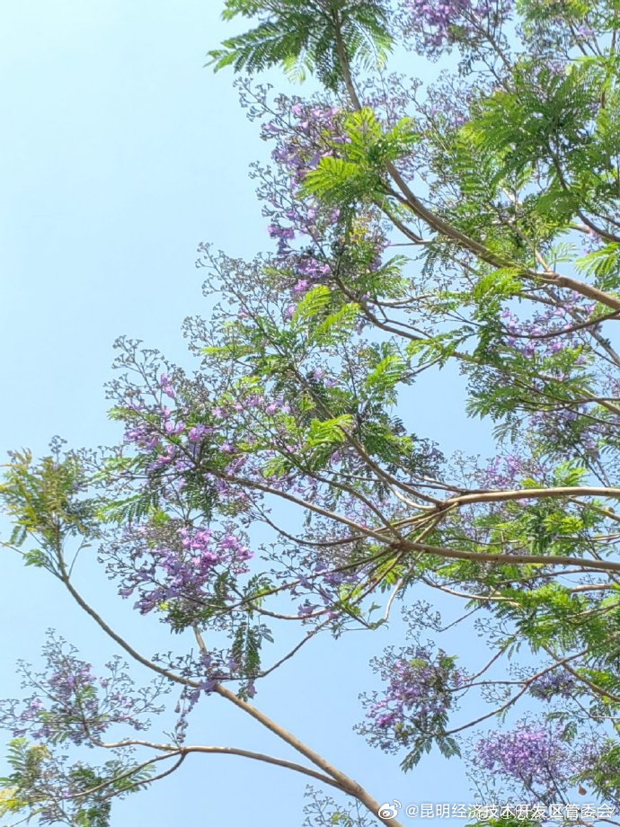 昆明经济技术开发区管委会