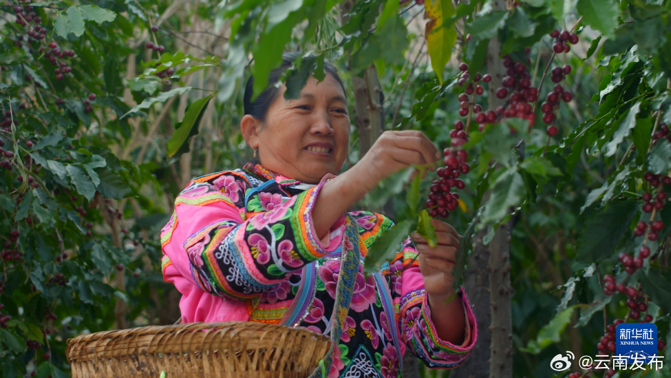 咖啡主题微电影《爷爷的铁皮卡》在云南大姚开机
