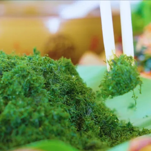 云南省文化和旅游厅