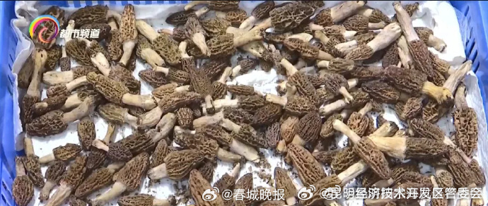 昆明经济技术开发区管委会