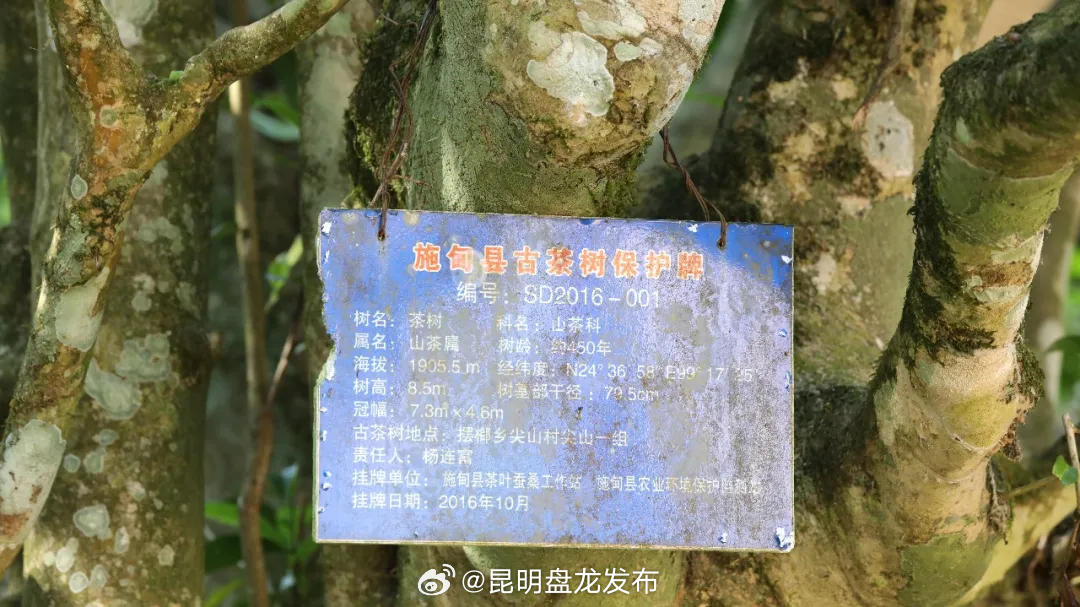 昆明盘龙发布