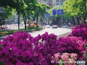 昆明经济技术开发区管委会