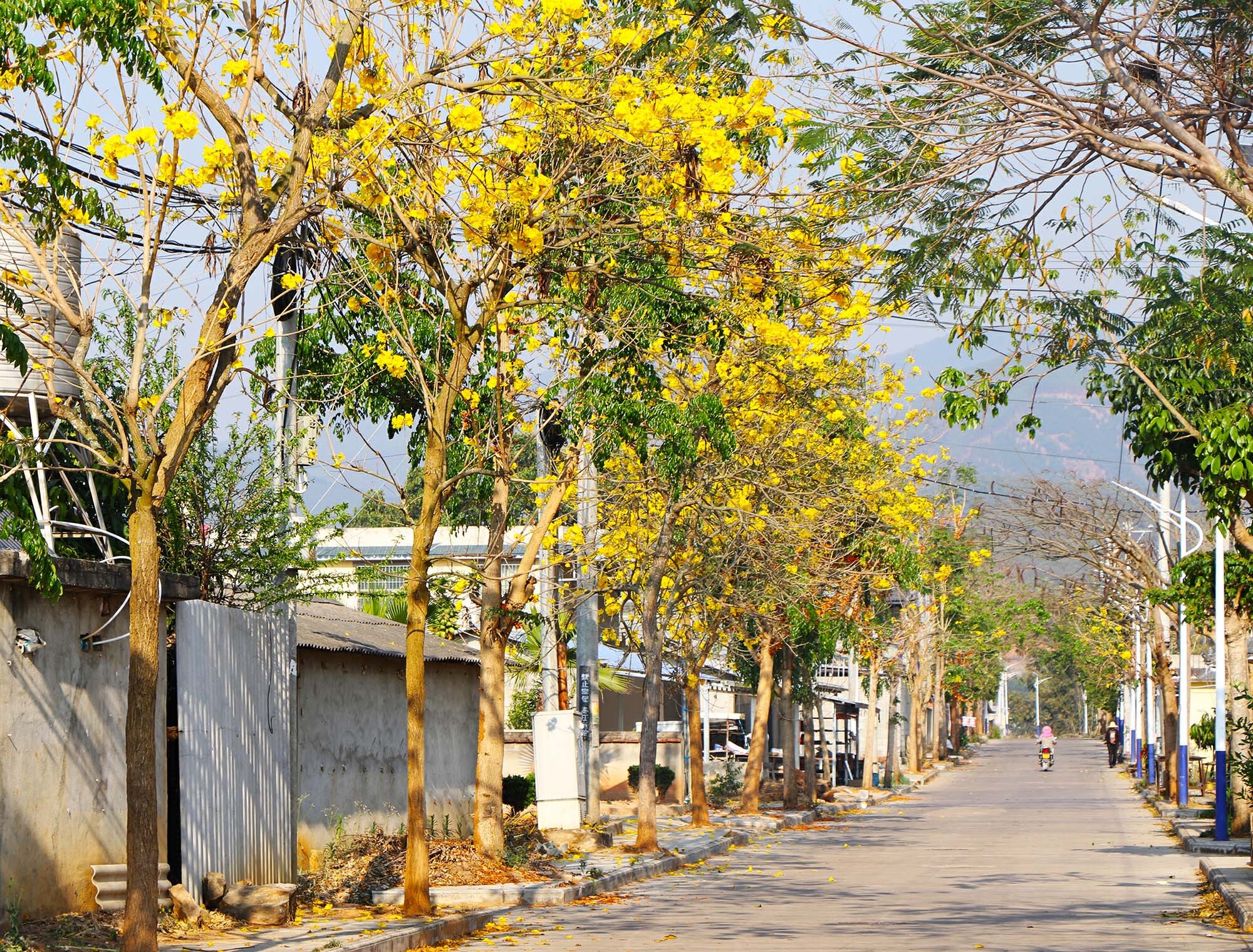 云南省文化和旅游厅