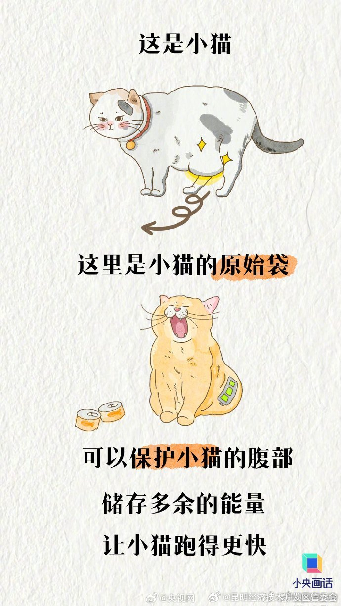 昆明经济技术开发区管委会