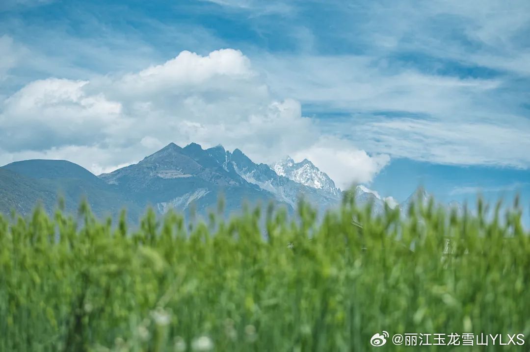 丽江玉龙雪山YLXS