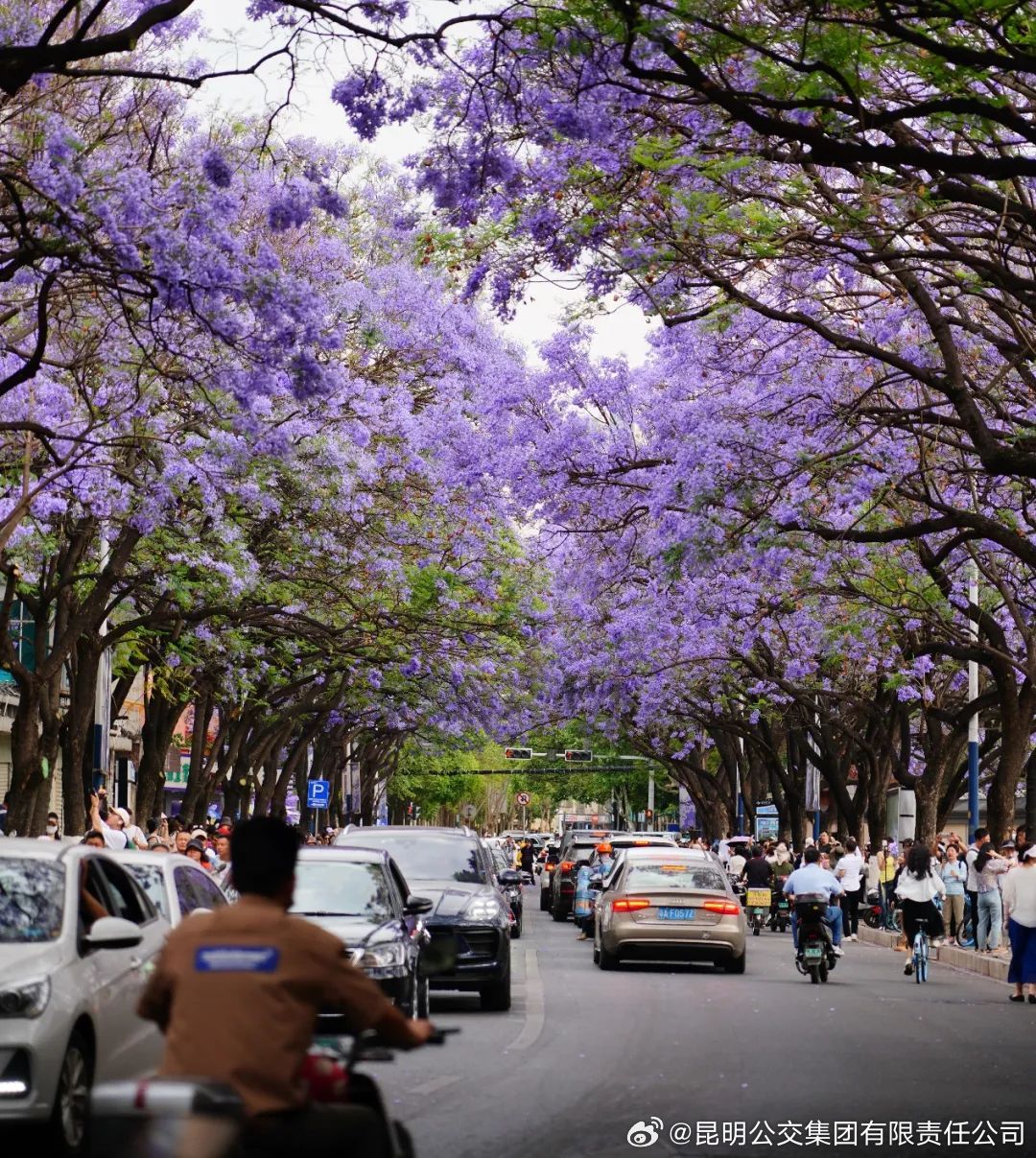 昆明公交集团有限责任公司