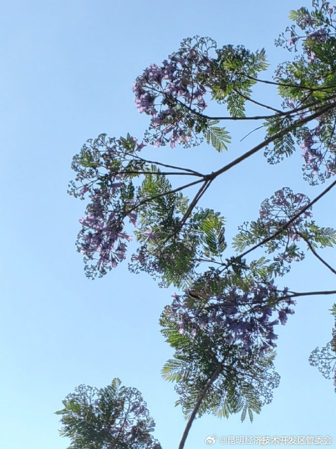 昆明经济技术开发区管委会