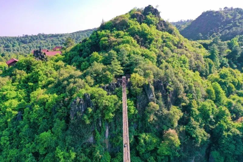 云南省文化和旅游厅