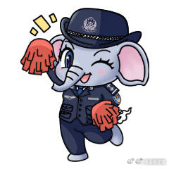 云南曲靖交警