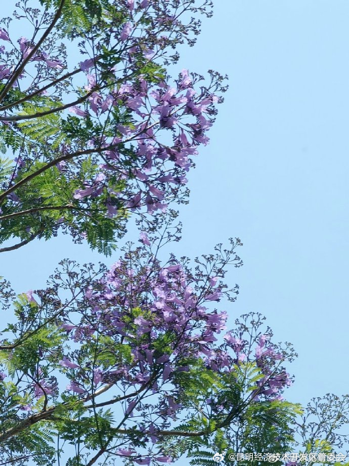 昆明经济技术开发区管委会