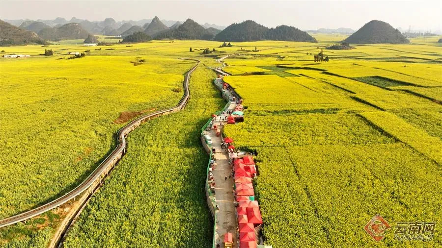 云南省文化和旅游厅