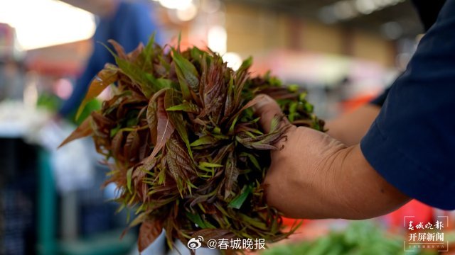 在大理宾川吃一桌野菜，把春天留在肚子里_http://www.mainten.cn_ycb_第1张