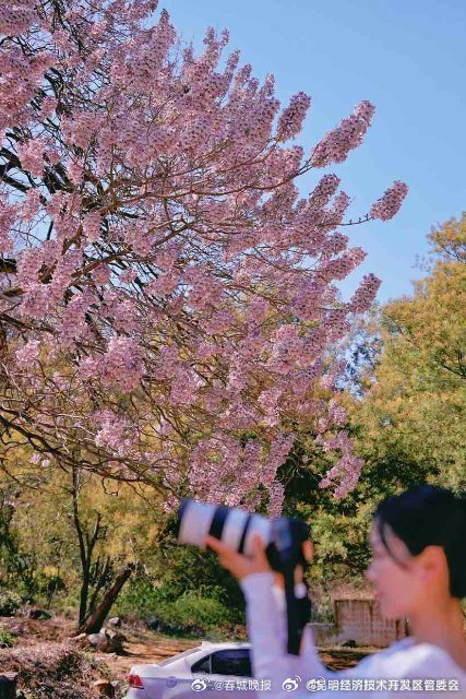 昆明经济技术开发区管委会