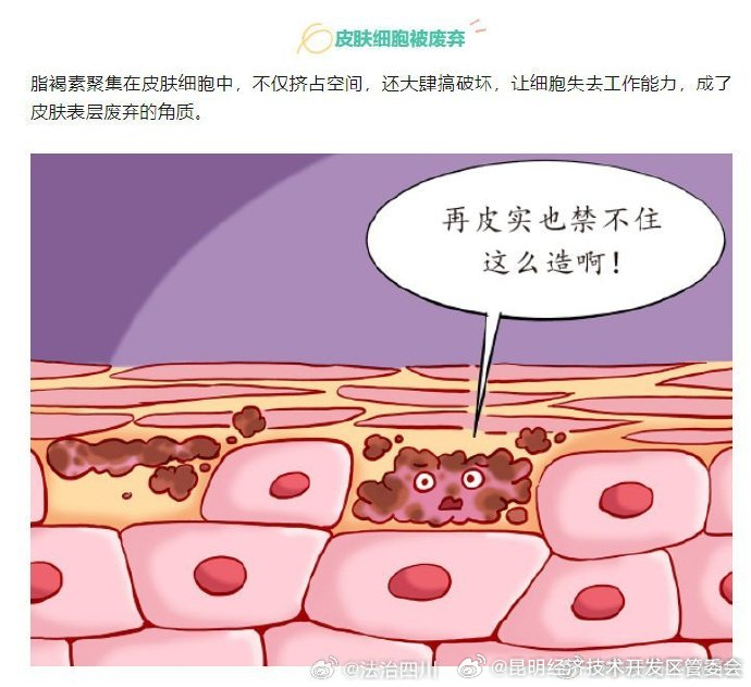 昆明经济技术开发区管委会