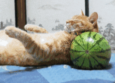 睡眠质量好不好要看5个指标