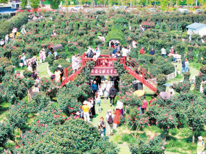 昆明市文化和旅游局