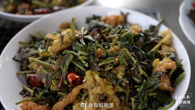 在大理宾川吃一桌野菜，把春天留在肚子里_http://www.mainten.cn_ycb_第7张