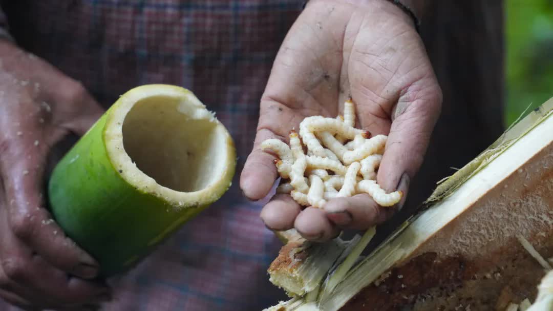 云南省文化和旅游厅