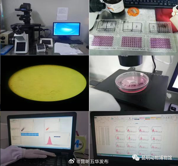 昆明五华发布