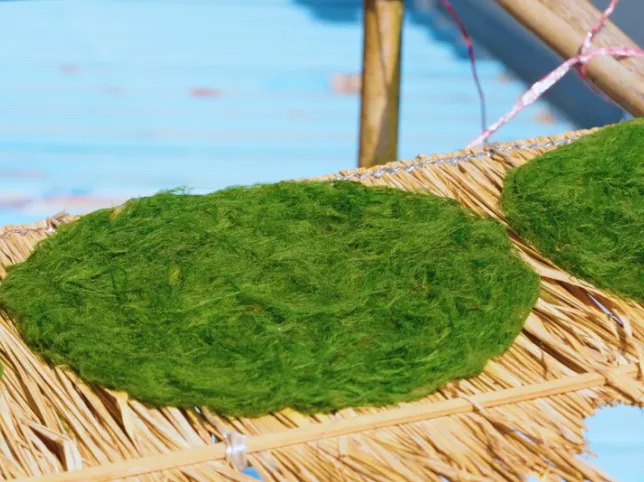 云南省文化和旅游厅