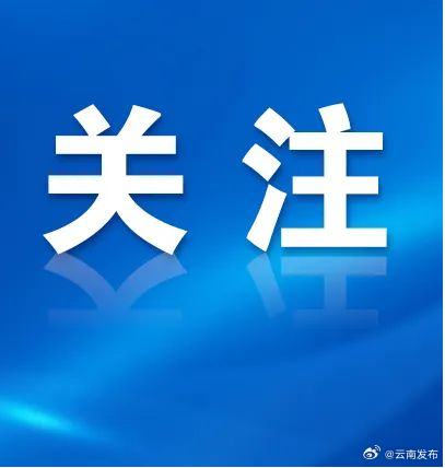 云南实有经营主体647.06万户