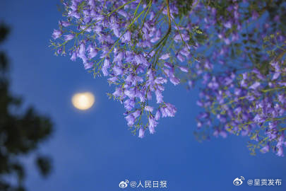 呈贡发布