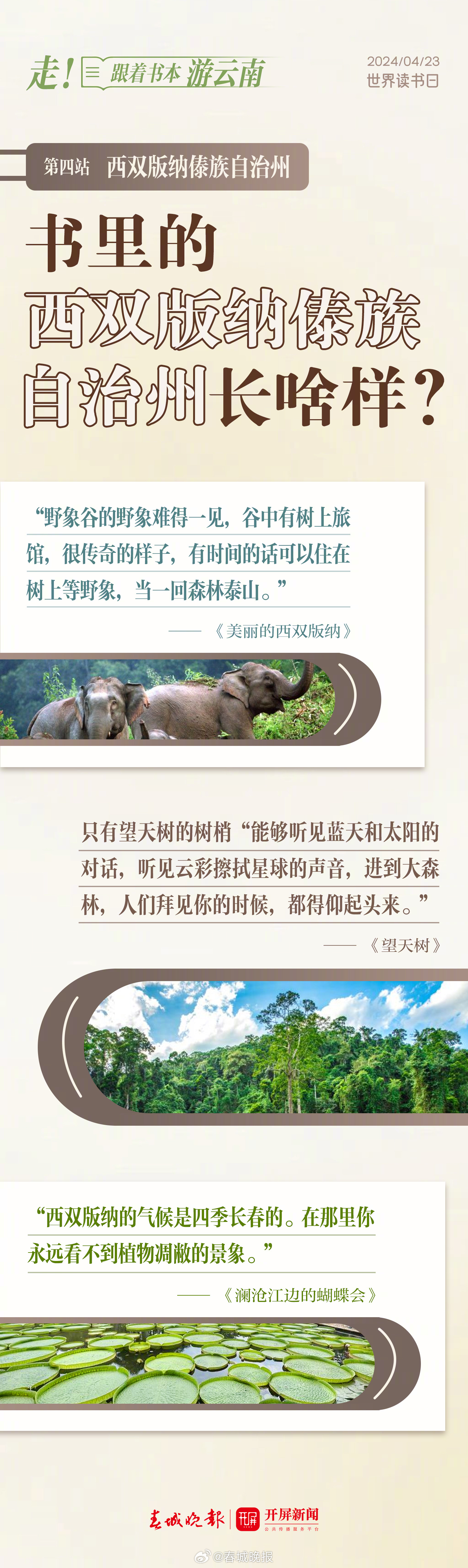 春城晚报