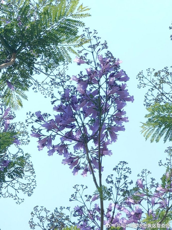 昆明经济技术开发区管委会