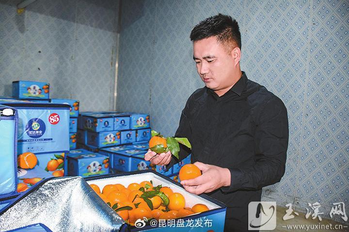 90后返乡创业青年普锐: 让家乡柑橘走出国门