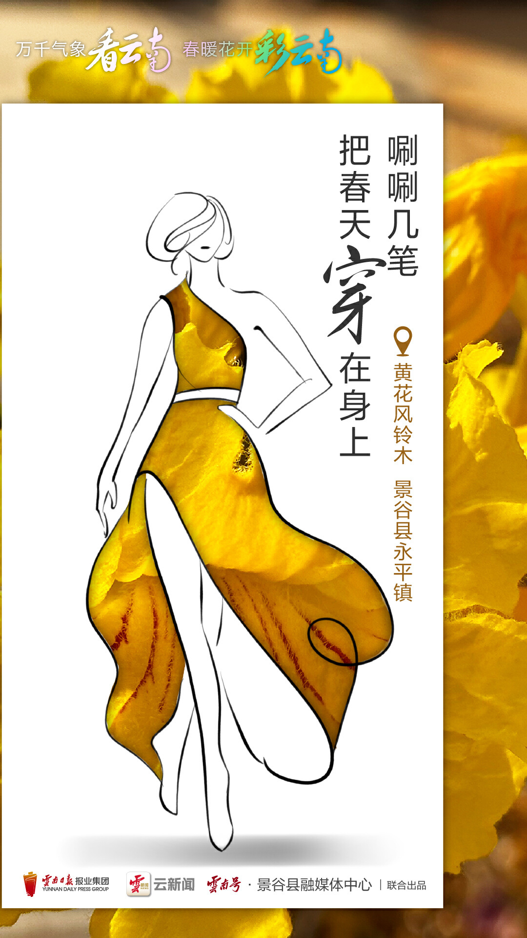 云南省文化和旅游厅