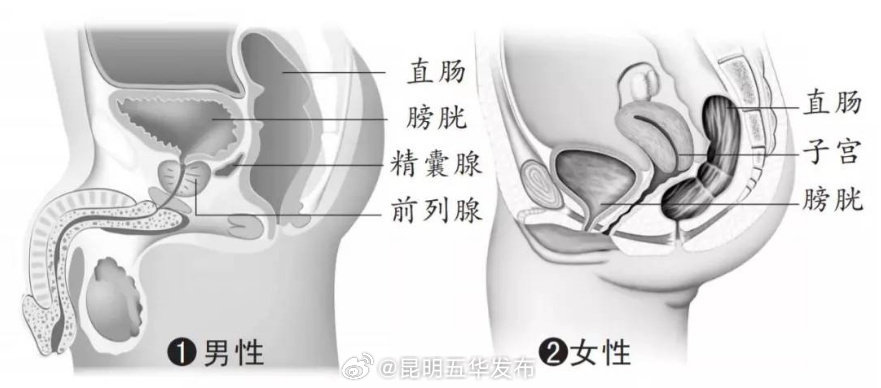 直肠指检能查出九成直肠癌_http://www.mainten.cn_ycb_第2张