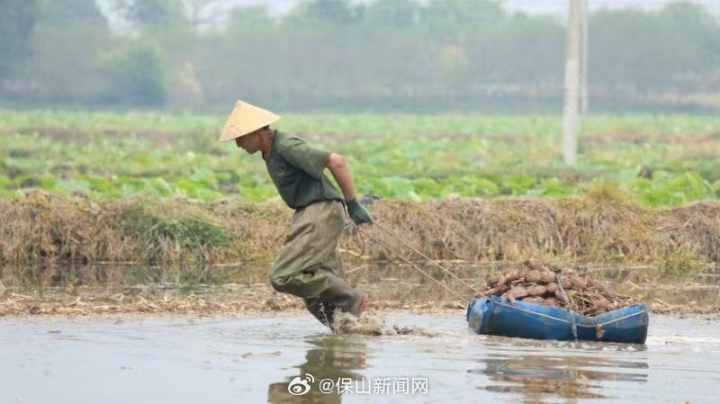 保山新闻网