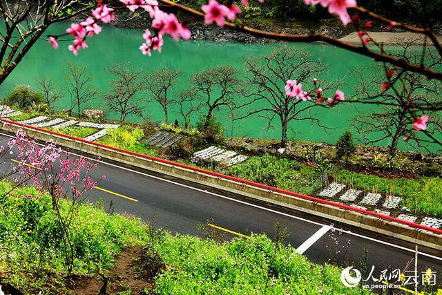 云南省文化和旅游厅