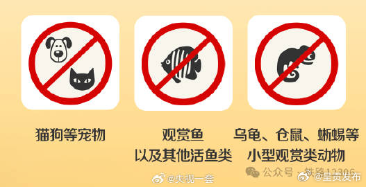 呈贡发布